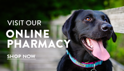 VetsFirst Choice Online Pharmacy - Apple Valley Animal Hospital - Hendersonville, NC